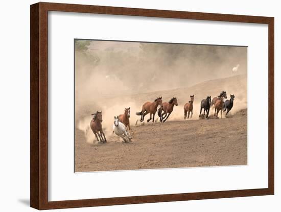 Running Wild-Sally Linden-Framed Photographic Print