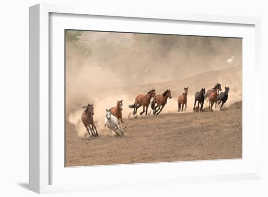 Running Wild-Sally Linden-Framed Photographic Print