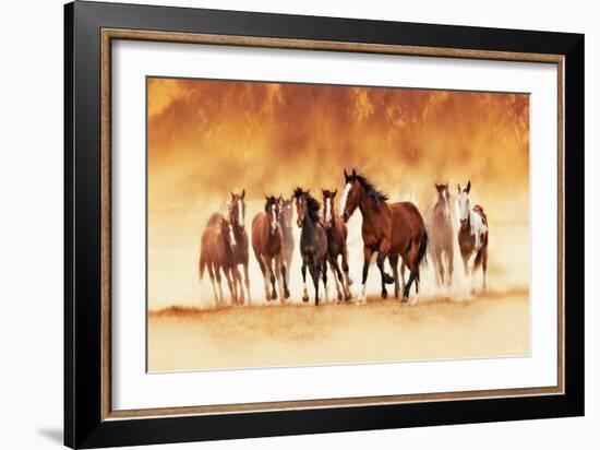 Running Wild-David Drost-Framed Art Print