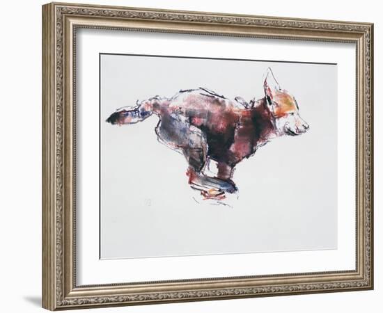 Running Wolf Pup-Mark Adlington-Framed Giclee Print