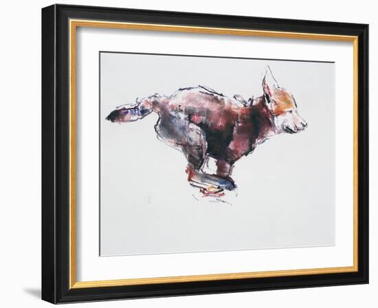 Running Wolf Pup-Mark Adlington-Framed Giclee Print