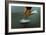 Running-Kevin Curtis-Framed Photographic Print