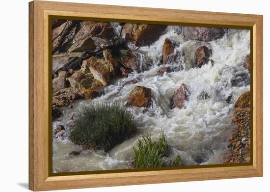 Runoff coming from Lassen Peak.-Mallorie Ostrowitz-Framed Premier Image Canvas