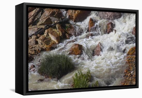 Runoff coming from Lassen Peak.-Mallorie Ostrowitz-Framed Premier Image Canvas