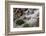 Runoff coming from Lassen Peak.-Mallorie Ostrowitz-Framed Photographic Print