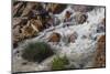 Runoff coming from Lassen Peak.-Mallorie Ostrowitz-Mounted Photographic Print