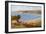 Runswick Bay, Looking S-Alfred Robert Quinton-Framed Giclee Print