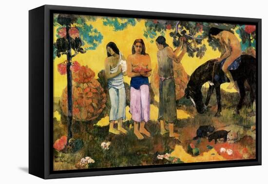 Rupe Rupe (Fruit Gathering), 1899-Paul Gauguin-Framed Premier Image Canvas