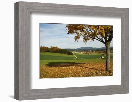 Rural Autumn Scene with Lauffen Village, Schwarzwald-Baar, Baden-Wurttemberg, Germany-Jochen Schlenker-Framed Photographic Print