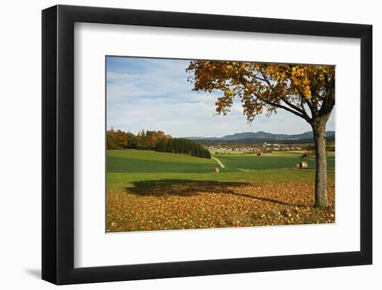 Rural Autumn Scene with Lauffen Village, Schwarzwald-Baar, Baden-Wurttemberg, Germany-Jochen Schlenker-Framed Photographic Print