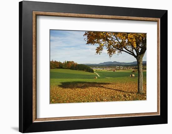 Rural Autumn Scene with Lauffen Village, Schwarzwald-Baar, Baden-Wurttemberg, Germany-Jochen Schlenker-Framed Photographic Print