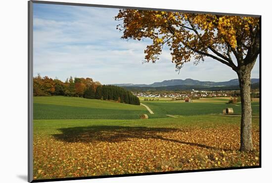 Rural Autumn Scene with Lauffen Village, Schwarzwald-Baar, Baden-Wurttemberg, Germany-Jochen Schlenker-Mounted Photographic Print