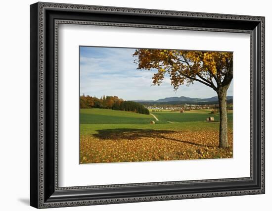 Rural Autumn Scene with Lauffen Village, Schwarzwald-Baar, Baden-Wurttemberg, Germany-Jochen Schlenker-Framed Photographic Print