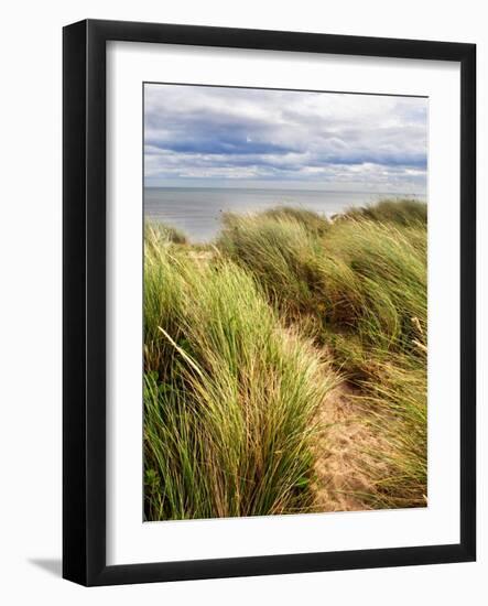 Rural Country Scene in the North of England UK-Mark Sunderland-Framed Photographic Print