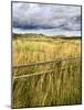 Rural Country Scene in the North of England UK-Mark Sunderland-Mounted Photographic Print