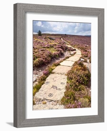 Rural Country Scene in the North of England UK-Mark Sunderland-Framed Photographic Print