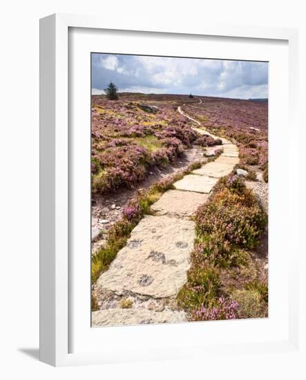 Rural Country Scene in the North of England UK-Mark Sunderland-Framed Photographic Print