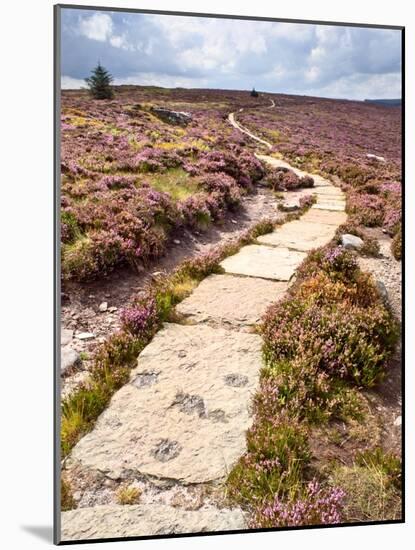 Rural Country Scene in the North of England UK-Mark Sunderland-Mounted Photographic Print