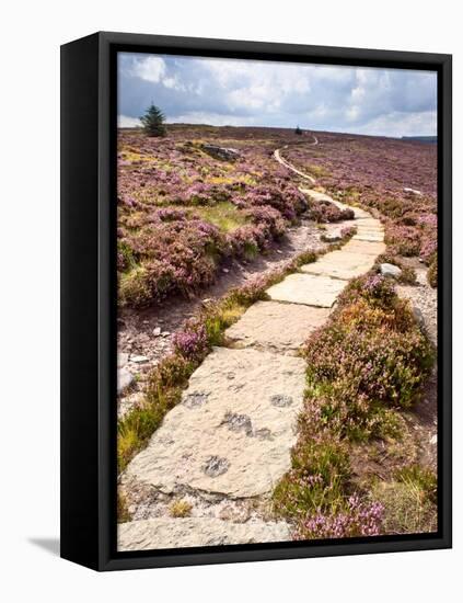 Rural Country Scene in the North of England UK-Mark Sunderland-Framed Premier Image Canvas