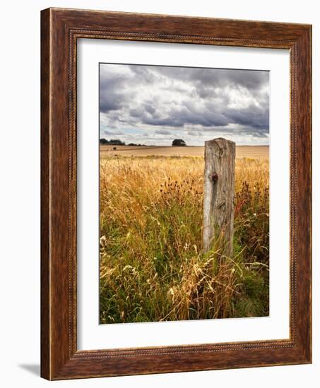 Rural Country Scene in the North of England UK-Mark Sunderland-Framed Photographic Print