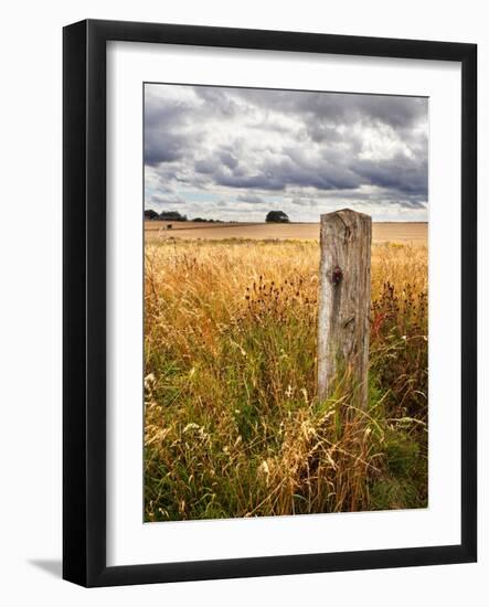 Rural Country Scene in the North of England UK-Mark Sunderland-Framed Photographic Print