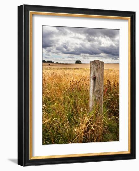 Rural Country Scene in the North of England UK-Mark Sunderland-Framed Photographic Print