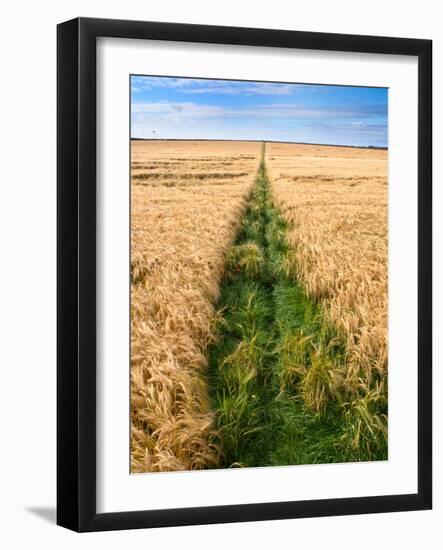 Rural Country Scene in the North of England UK-Mark Sunderland-Framed Photographic Print