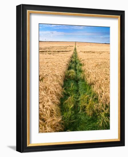 Rural Country Scene in the North of England UK-Mark Sunderland-Framed Photographic Print