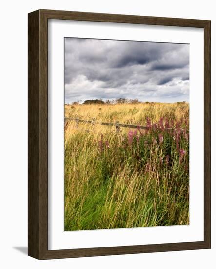 Rural Country Scene in the North of England UK-Mark Sunderland-Framed Photographic Print