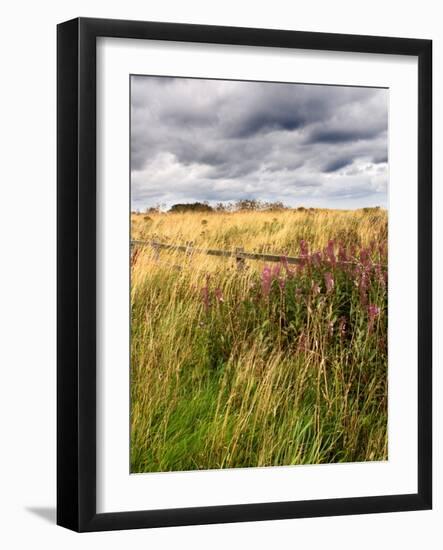 Rural Country Scene in the North of England UK-Mark Sunderland-Framed Photographic Print