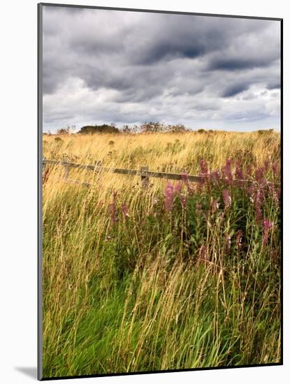 Rural Country Scene in the North of England UK-Mark Sunderland-Mounted Photographic Print