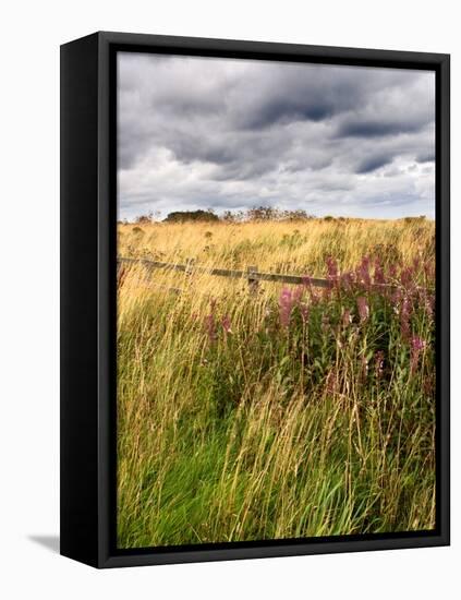 Rural Country Scene in the North of England UK-Mark Sunderland-Framed Premier Image Canvas