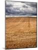 Rural Country Scene in the North of England UK-Mark Sunderland-Mounted Photographic Print