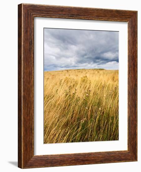 Rural Country Scene in the North of England UK-Mark Sunderland-Framed Photographic Print