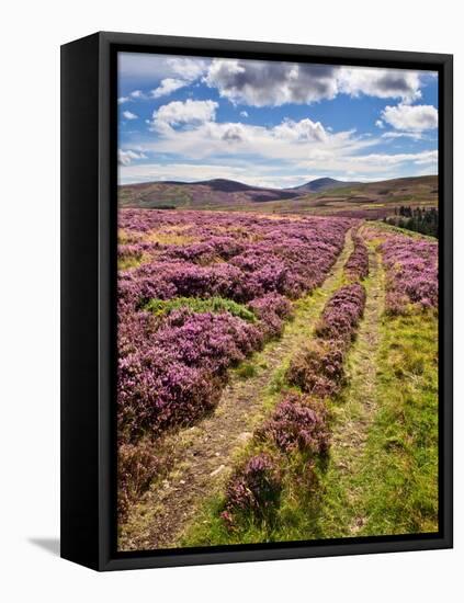 Rural Country Scene in the North of England UK-Mark Sunderland-Framed Premier Image Canvas