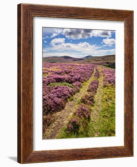 Rural Country Scene in the North of England UK-Mark Sunderland-Framed Photographic Print