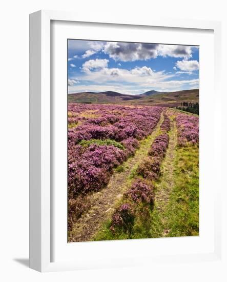 Rural Country Scene in the North of England UK-Mark Sunderland-Framed Photographic Print