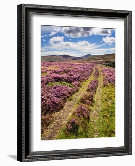 Rural Country Scene in the North of England UK-Mark Sunderland-Framed Photographic Print