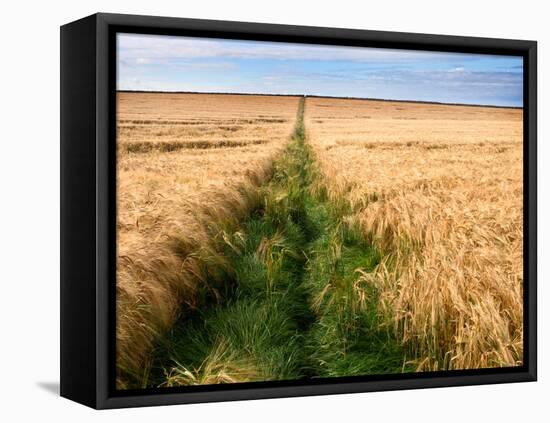 Rural Country Scene in the North of England UK-Mark Sunderland-Framed Premier Image Canvas