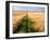 Rural Country Scene in the North of England UK-Mark Sunderland-Framed Photographic Print