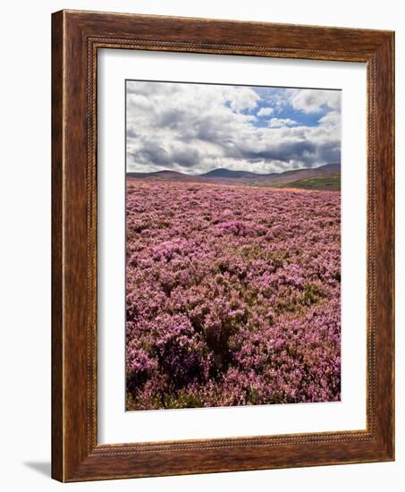 Rural Country Scene in the North of England UK-Mark Sunderland-Framed Photographic Print