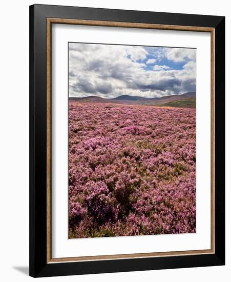 Rural Country Scene in the North of England UK-Mark Sunderland-Framed Photographic Print