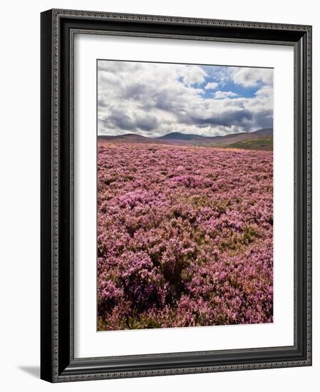 Rural Country Scene in the North of England UK-Mark Sunderland-Framed Photographic Print