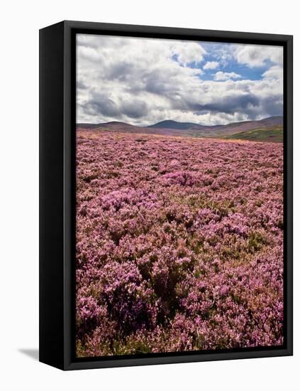 Rural Country Scene in the North of England UK-Mark Sunderland-Framed Premier Image Canvas