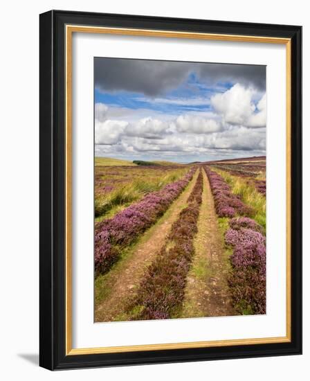 Rural Country Scene in the North of England UK-Mark Sunderland-Framed Photographic Print