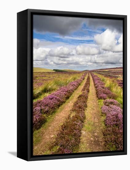 Rural Country Scene in the North of England UK-Mark Sunderland-Framed Premier Image Canvas