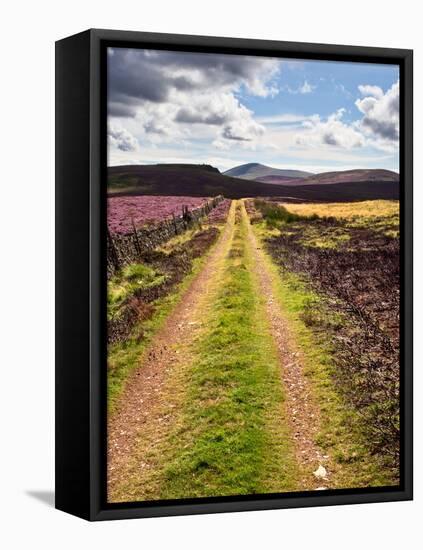 Rural Country Scene in the North of England UK-Mark Sunderland-Framed Premier Image Canvas