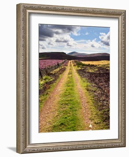 Rural Country Scene in the North of England UK-Mark Sunderland-Framed Photographic Print