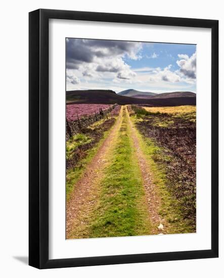 Rural Country Scene in the North of England UK-Mark Sunderland-Framed Photographic Print