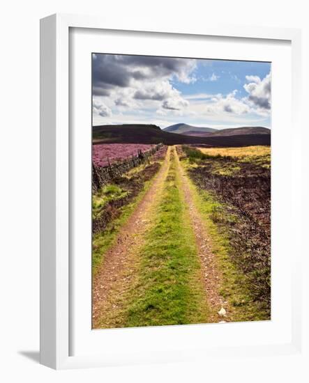 Rural Country Scene in the North of England UK-Mark Sunderland-Framed Photographic Print